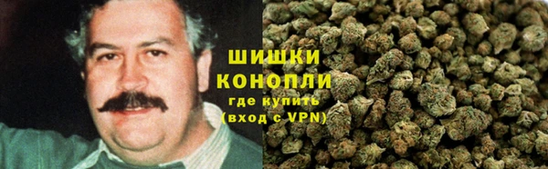 молекула духа Аркадак