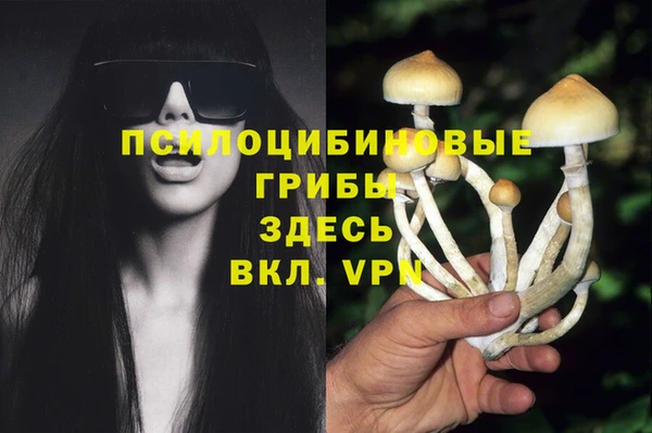 молекула духа Аркадак